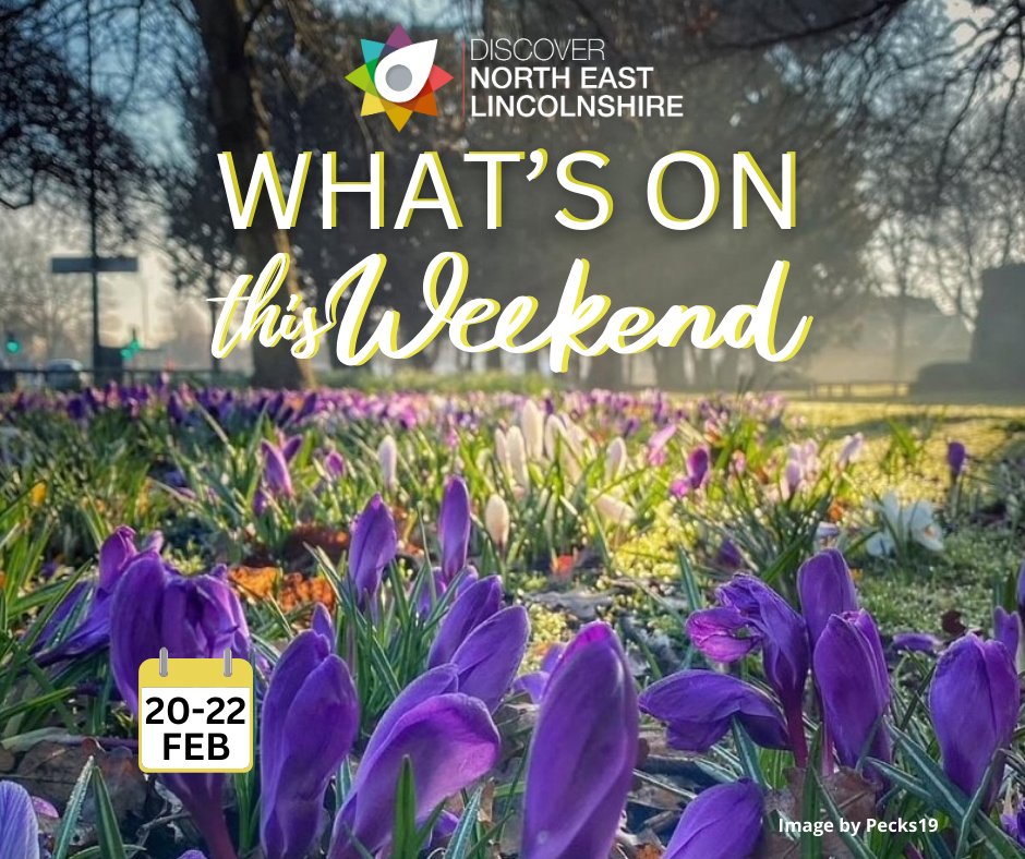 DiscoverNEL tweet media