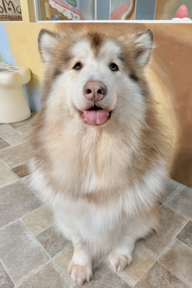 3kgから60kgになりました！