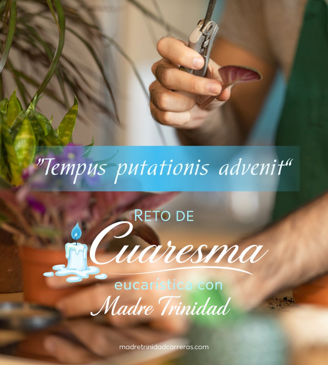 𝑽𝒊𝒆𝒓𝒏𝒆𝒔 20 𝒇𝒆𝒃𝒓𝒆𝒓𝒐 2026 · 𝑹𝒆𝒕𝒐 𝒅𝒆 𝑪𝒖𝒂𝒓𝒆𝒔𝒎𝒂 𝑬𝒖𝒄𝒂𝒓𝒊𝒔𝒕𝒊𝒄𝒂 𝒄𝒐𝒏 𝑴𝒂𝒅𝒓𝒆 𝑻𝒓𝒊𝒏𝒊𝒅𝒂𝒅🕯️
Primer viernes de Cuaresma “Ha llegado el tiempo de podar nuestra viña”. 10 min ante el Sagrario y una pequeña renuncia por amor.