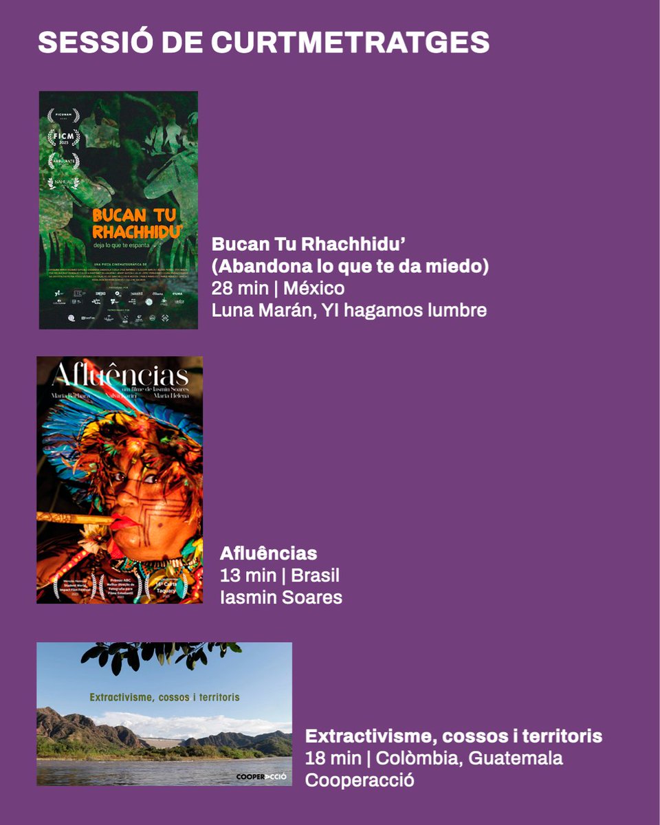 alterNativa Intercanvi amb Pobles Indígenes tweet media