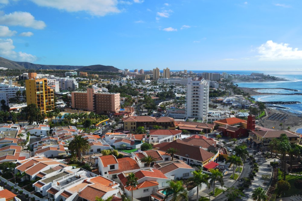 Jack Montgomery Writer tweet media