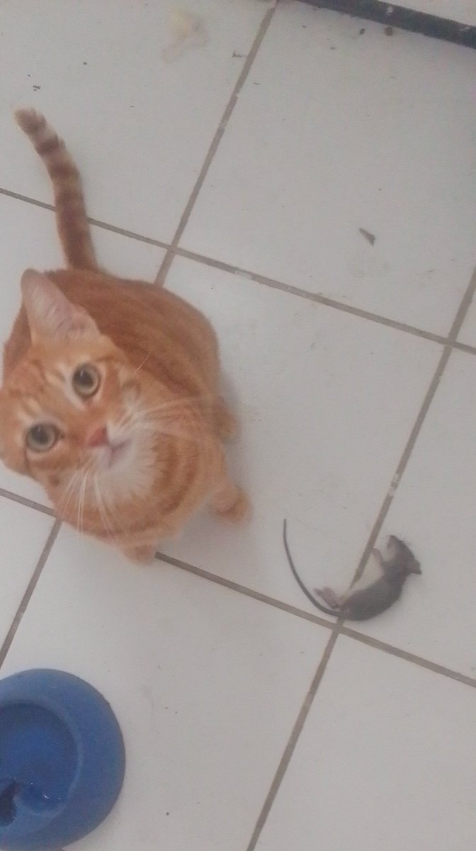 cuidado vcs que roubam meu isqueiro e etc