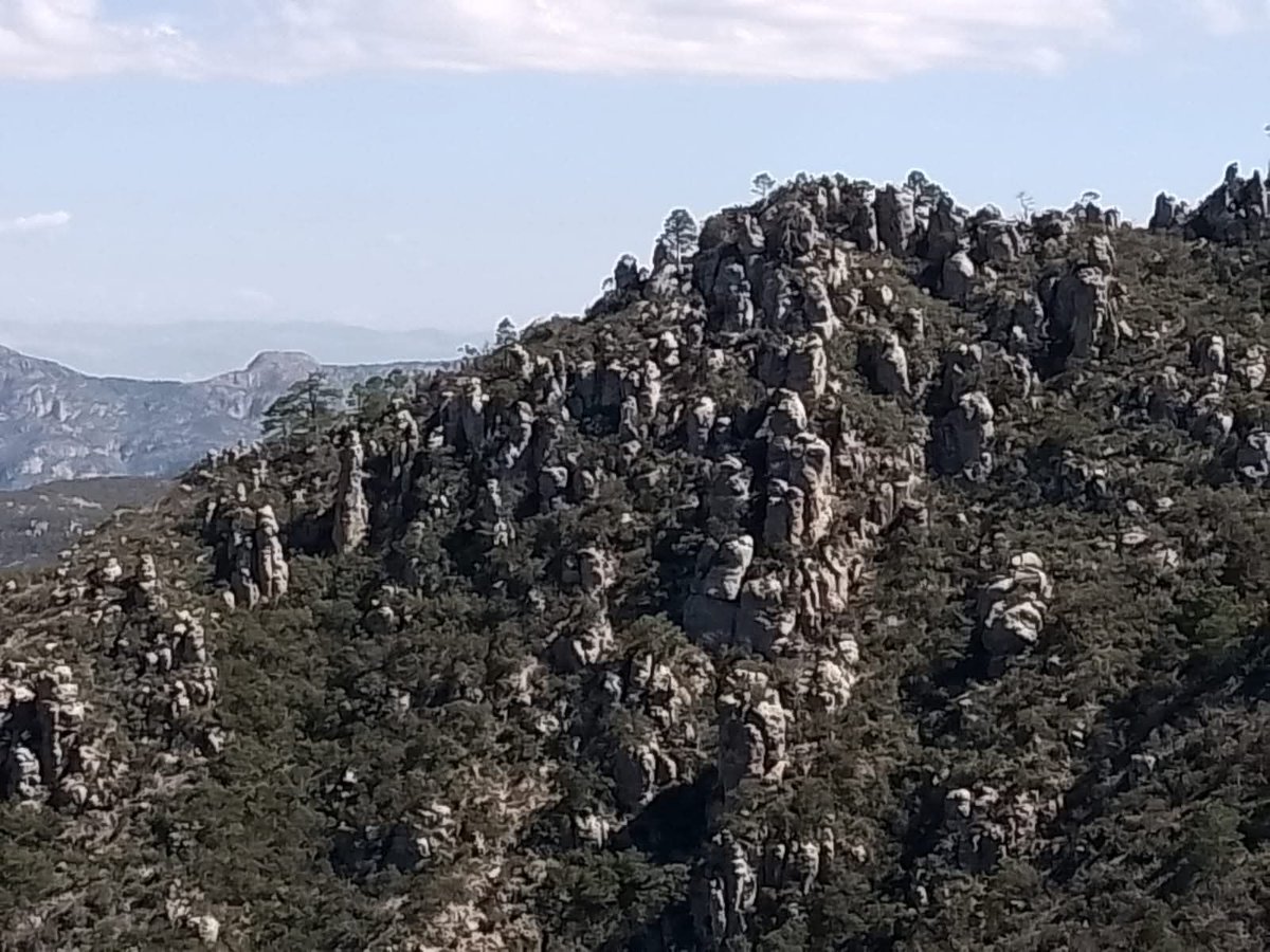 Todos Somos la Sierra de San Miguelito tweet media