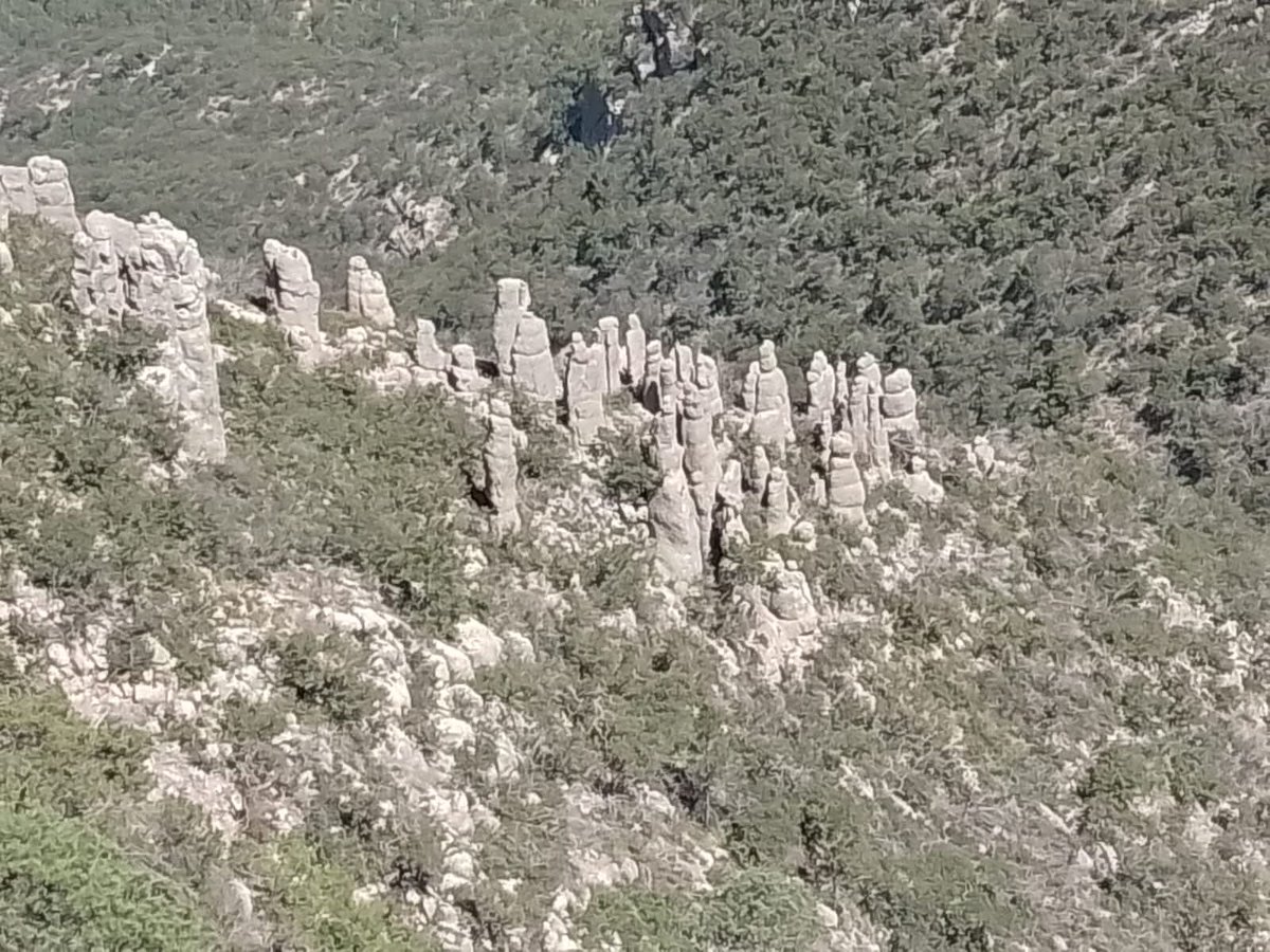 Todos Somos la Sierra de San Miguelito tweet media