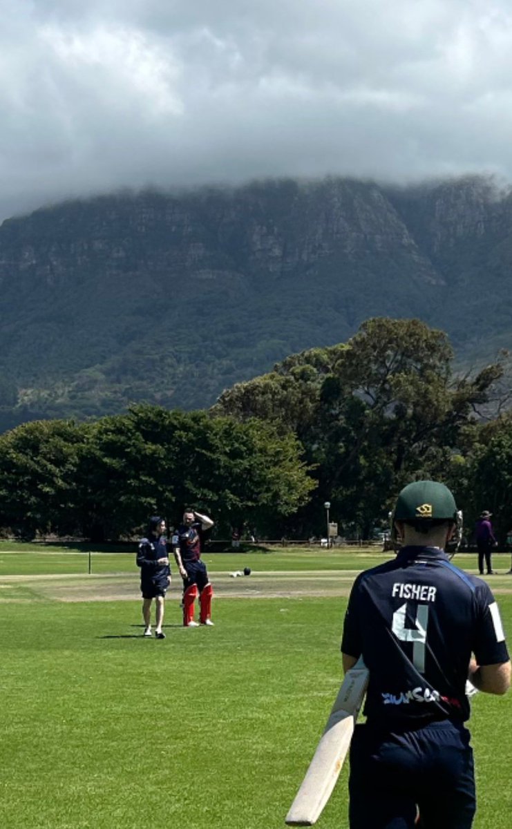 Treble Clef Cricket tweet media