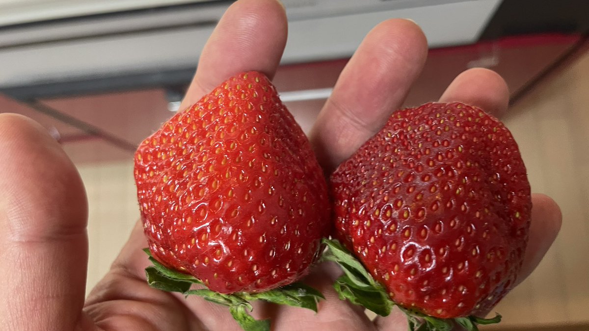 いちご☆様 ❶❷❼⑬ あまりん🍓🍓入荷しました！ 本庄早稲田にお店がある「宝美いちご