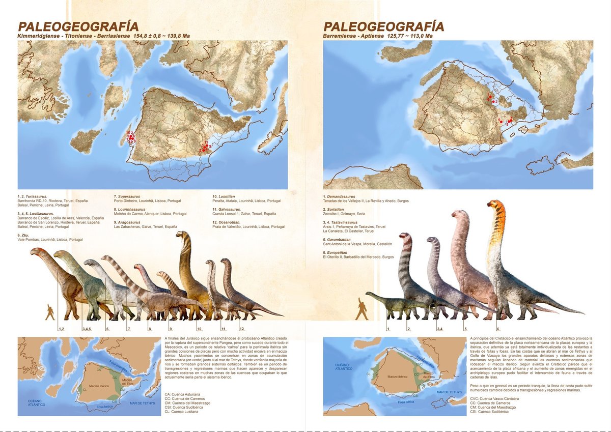"#Saurópodos ibéricos”, libro digital de <a href="/Ferrutxo_art/">Ferrutxo art</a> que hace un exhaustivo repaso a todos los gigantes de cuello largo que una vez habitaron la península ibérica. Te lo cuenta <a href="/Carlosdino88/">Carlos de Miguel</a>:

▶️ koprolitos.blogspot.com/2026/02/saurop…
#dinosaur #illustration #books