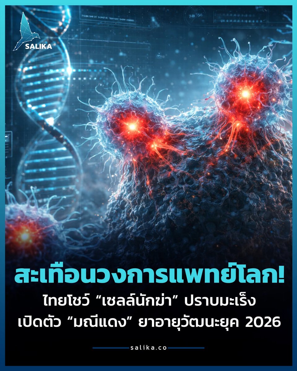 สถาบันการแพทย์ชั้นนำของไทย (จุฬาฯ-มหิดล) ประกาศความสำเร็จครั้งใหญ่รับปี 2026 ด้วยนวัตกรรม “ยามีชีวิต” (CAR T-cell) ที่ใช้การตัดต่อพันธุกรรมเม็ดเลือดขาวของผู้ป่วยให้กลายเป็น “เซลล์นักฆ่า” มุ่งเป้าทำลายมะเร็งอย่างแม่นยำ โดยไทยสามารถจัดตั้งโรงงานผลิตเองได้แล้ว