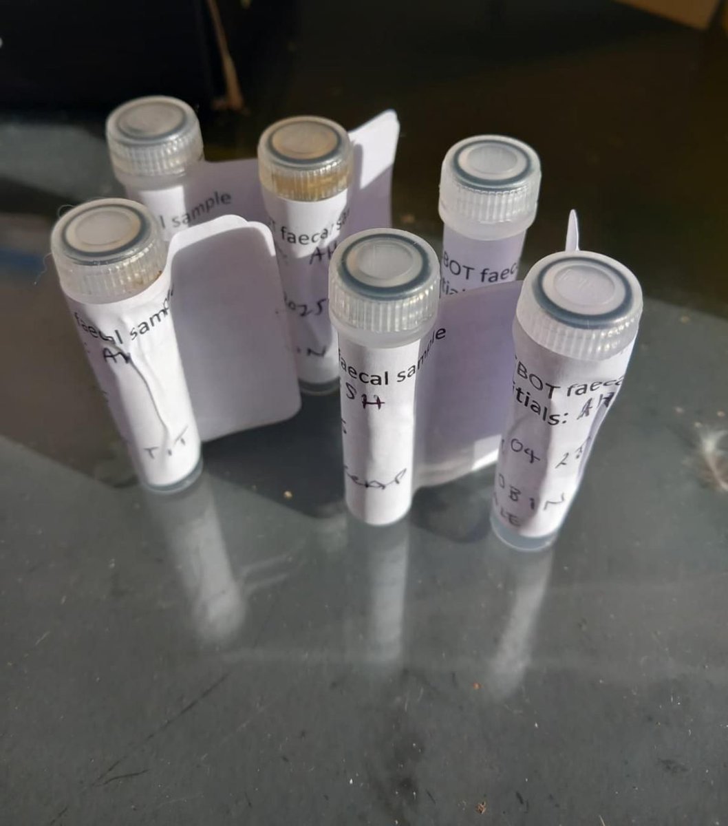 British Birds tweet media