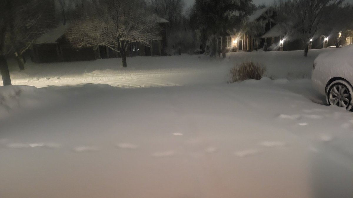 Dan Cole tweet media