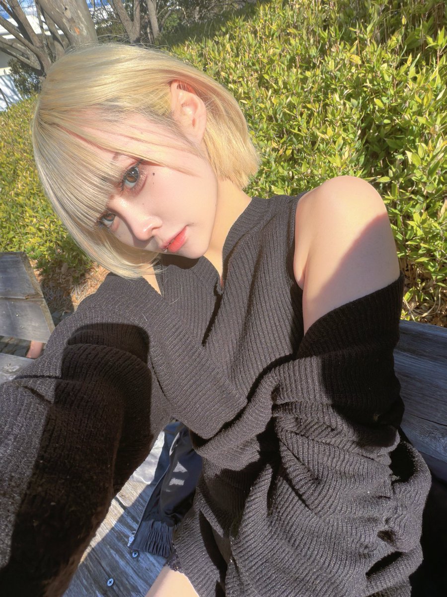 みーあん🐣 (@tyoitouupi) / Posts / X