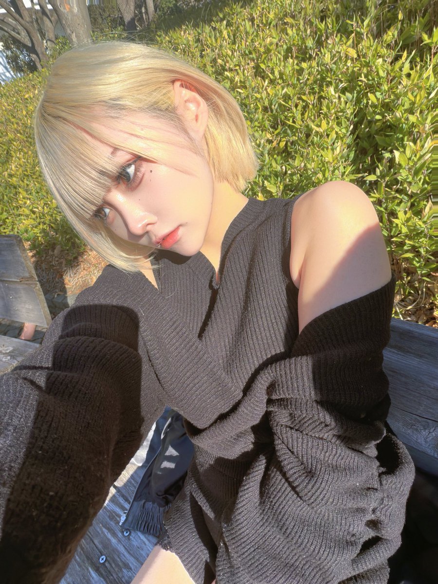 みーあん🐣 (@tyoitouupi) / Posts / X