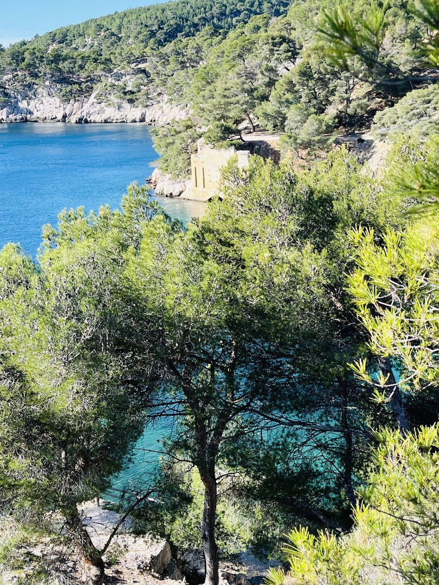 Florent Gautreau tweet media