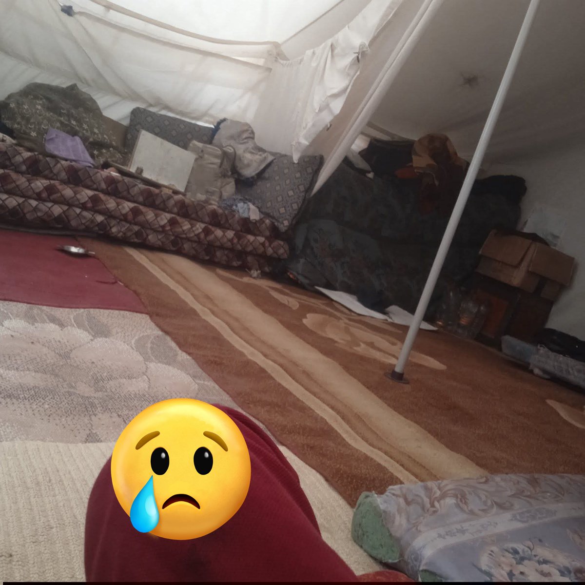 🍉🍉Namir Qasim tweet media