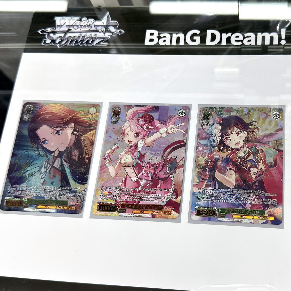 あお (@aocattleya) / Posts / X