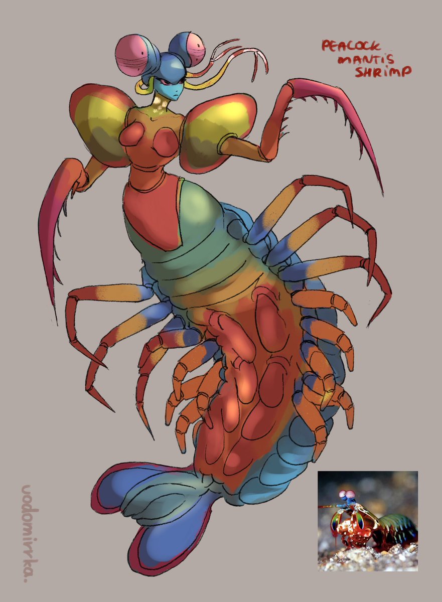 vodomirka_art's tweet photo. Bobbit loves girls with a good appetite 🪱🦐❤️
#wlwart #lgbtart #lgbtcomic #comicartist #DigitalArtist https://t.co/cjdXk6BsGO