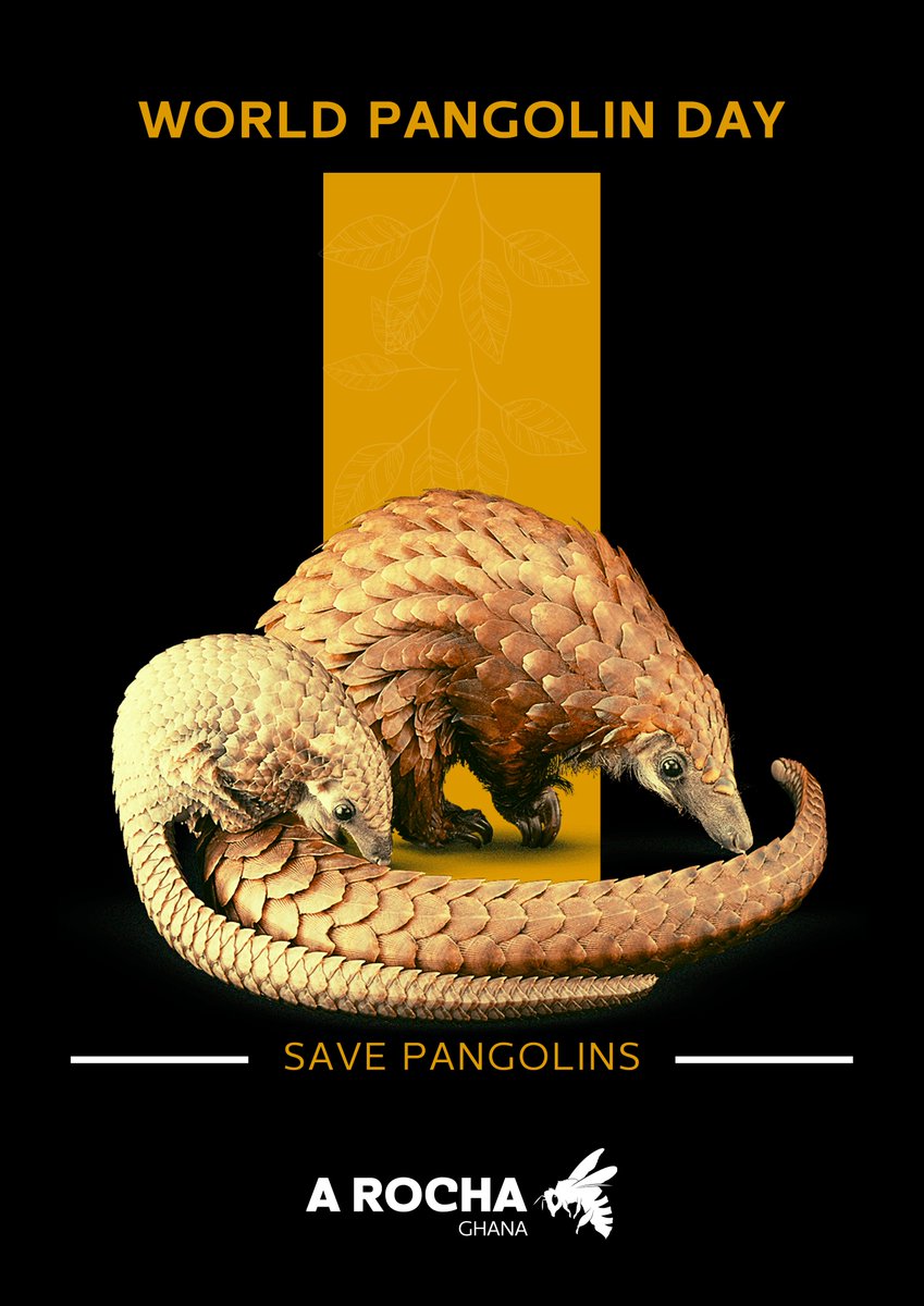 A Rocha Ghana tweet media