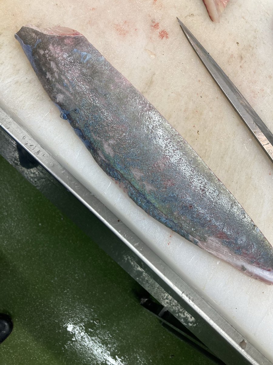 この皮引きの上手さわかってくれる人おらんかな