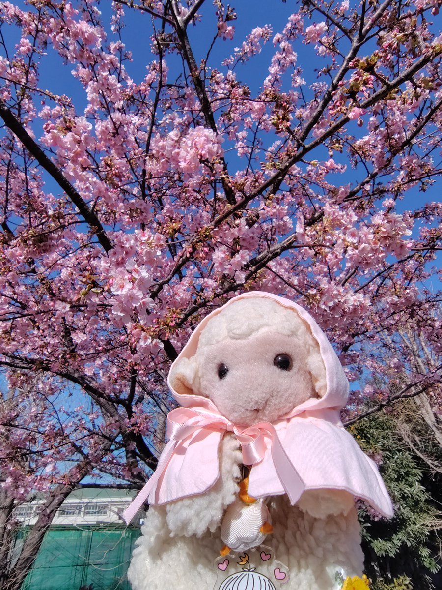 みっちゃん【公式】 (@mitchan5) / Posts / X