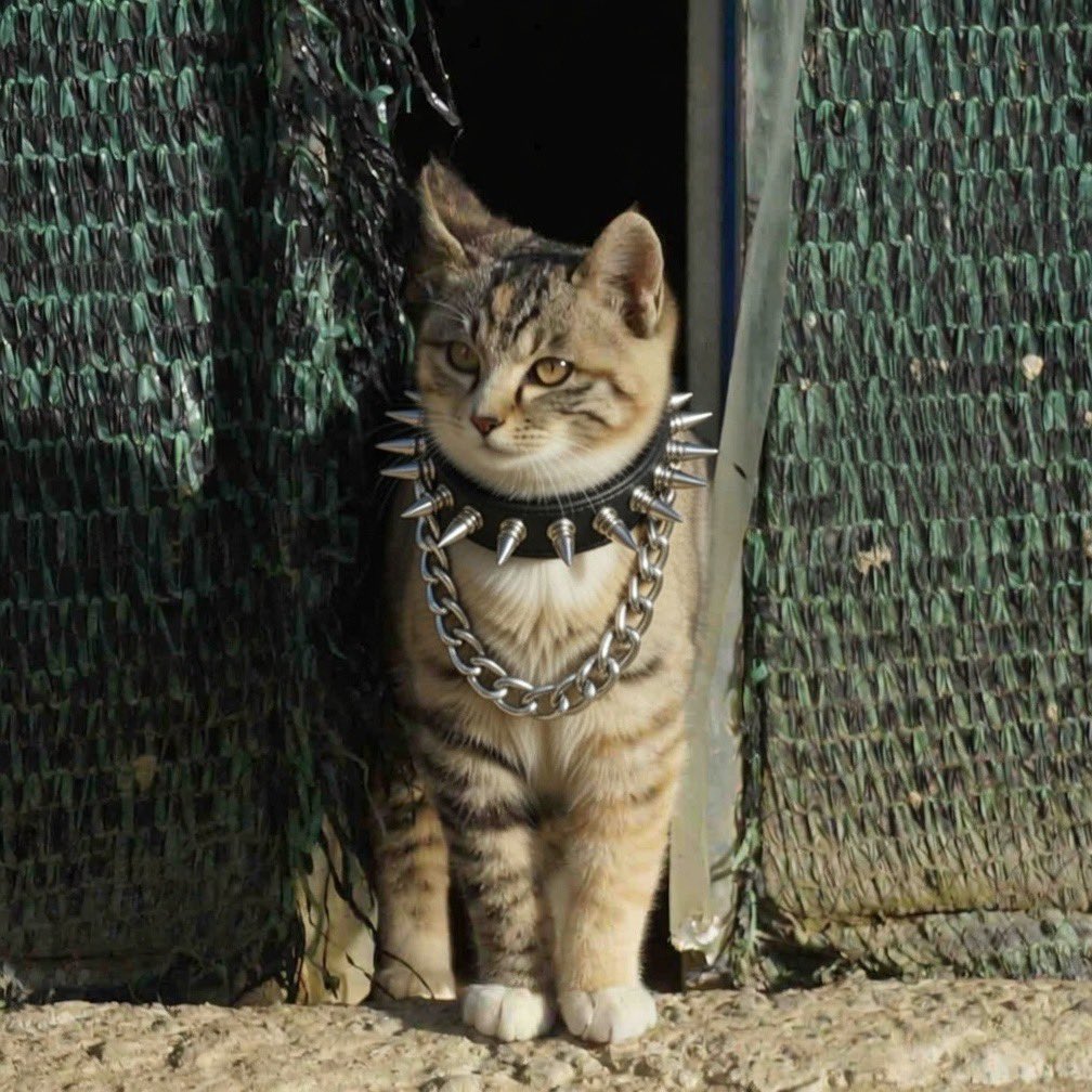 dailyruncat's tweet image. 목걸이 강화해봤습니다