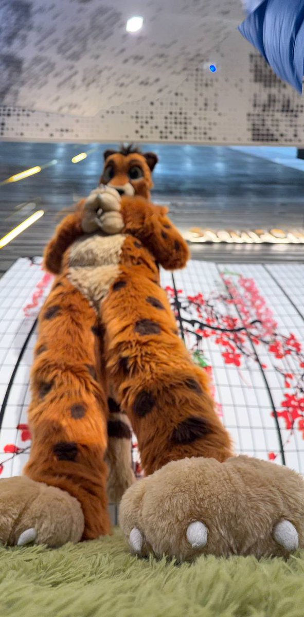 CheetahPaw 🇺🇦 tweet media