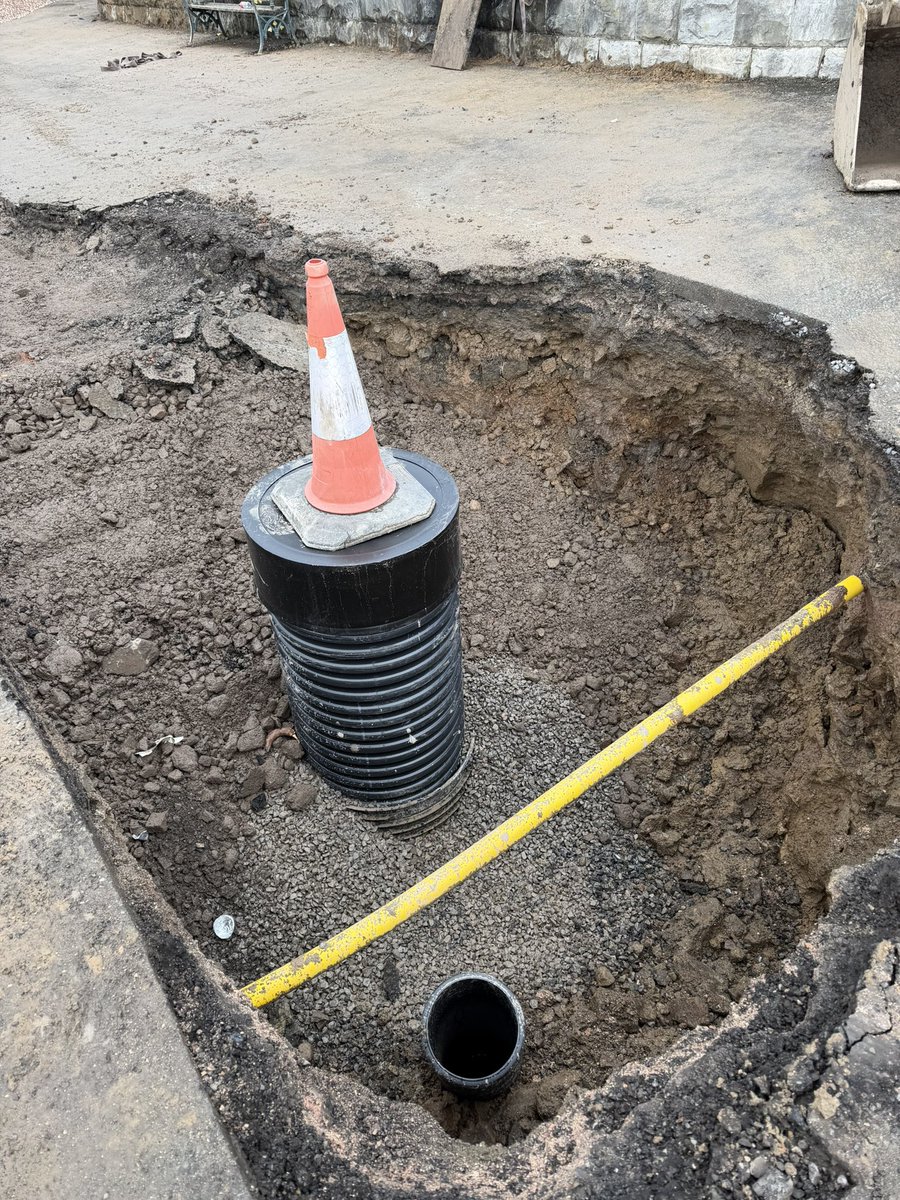 Noel Fitzpatrick Ltd tweet media