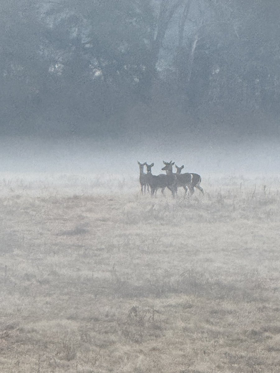 Peanut Coleman tweet media