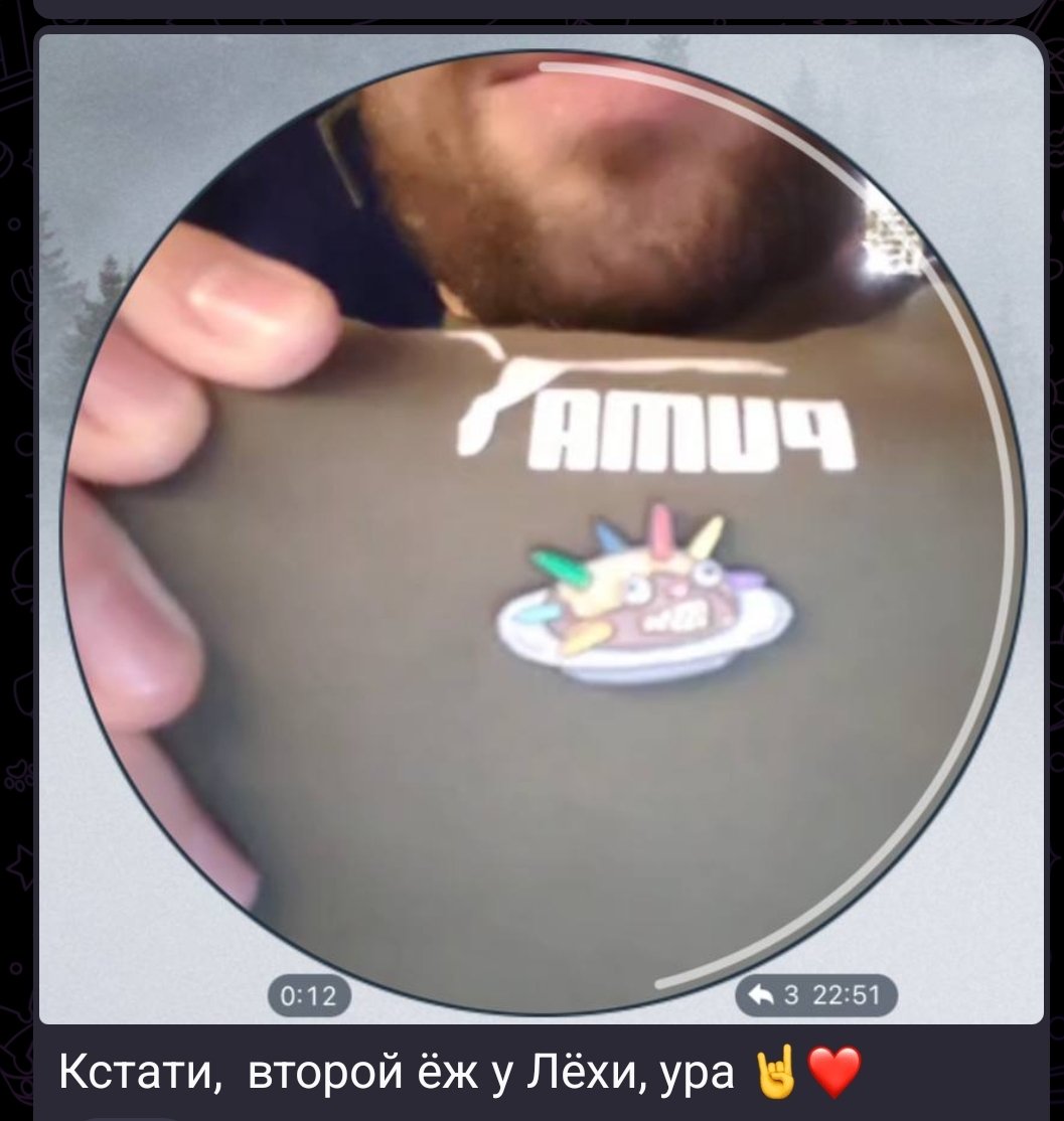 Propolish tweet media