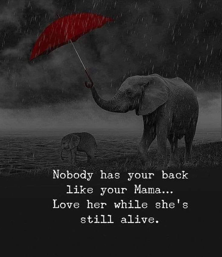 Mindful Maven (@mindfulmaven_) on Twitter photo 