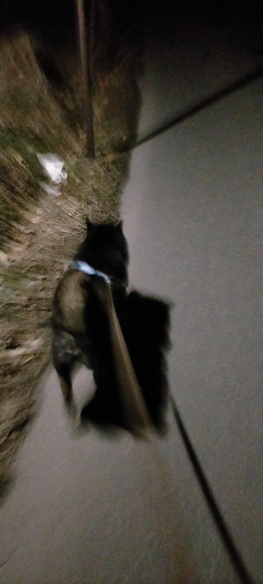 おやつたくさんもらったから…片道40分の川まで行ってこよっと