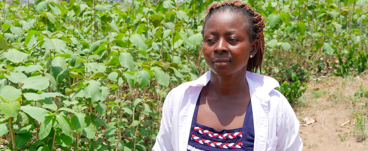 Alexis Adélé tweet media