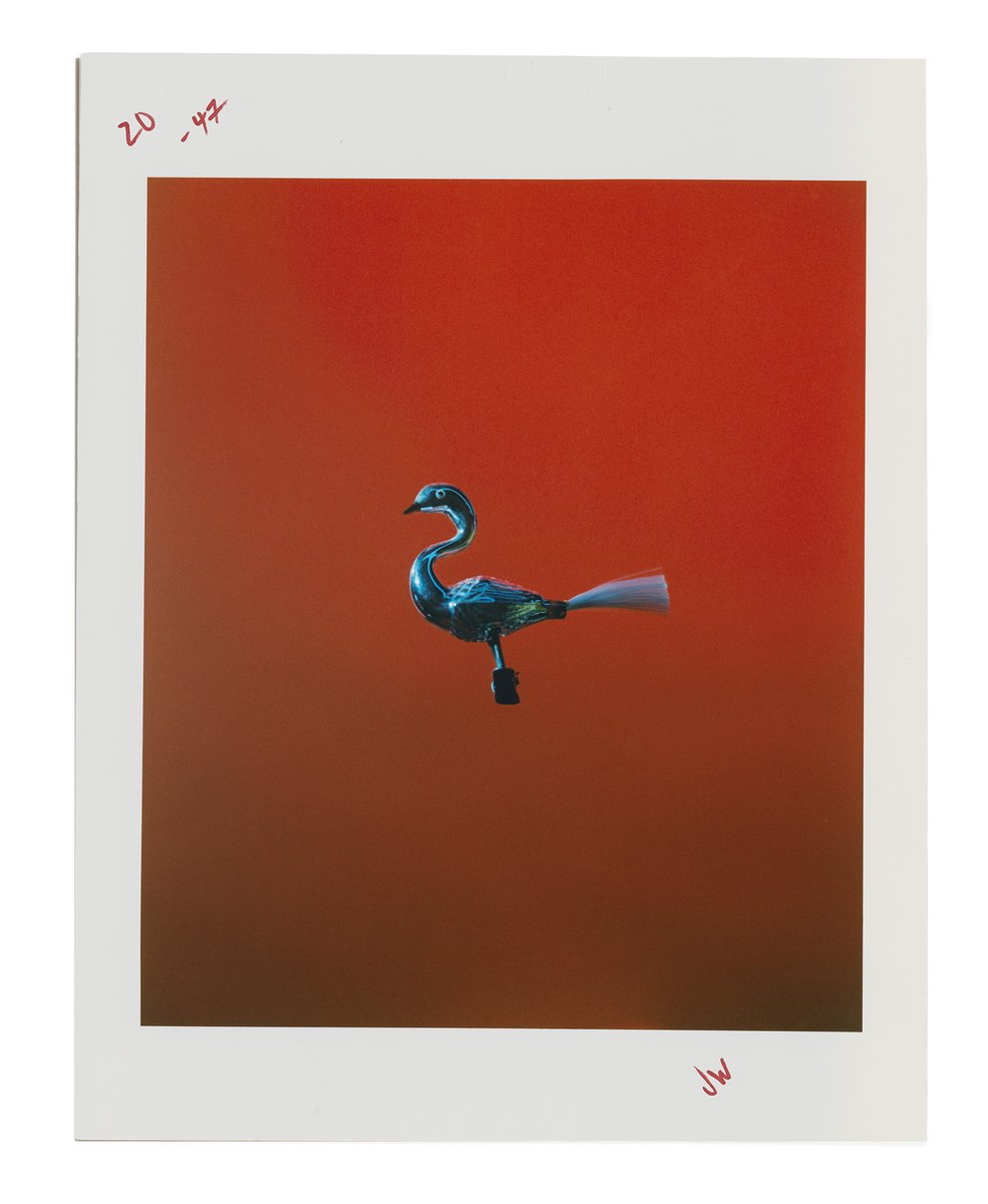 DigitalLightltd's tweet photo. JW Anderson by Photographer Catherine Hyland

Finishing and Post Production by Digital Light https://t.co/fhLpFjhORl
