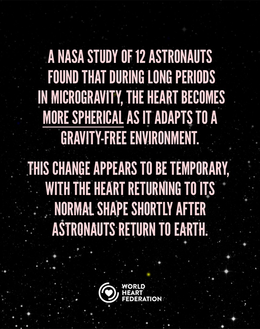 World Heart Federation tweet media