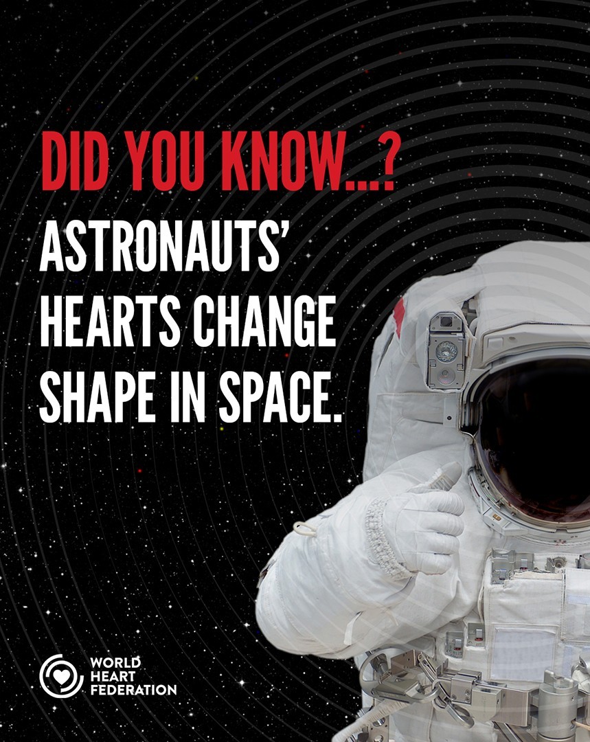 World Heart Federation tweet media