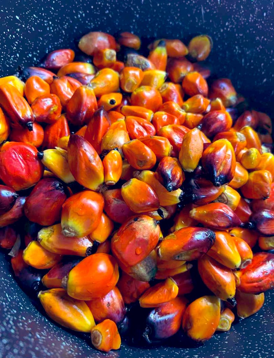 Have you seen this before, please what is this?