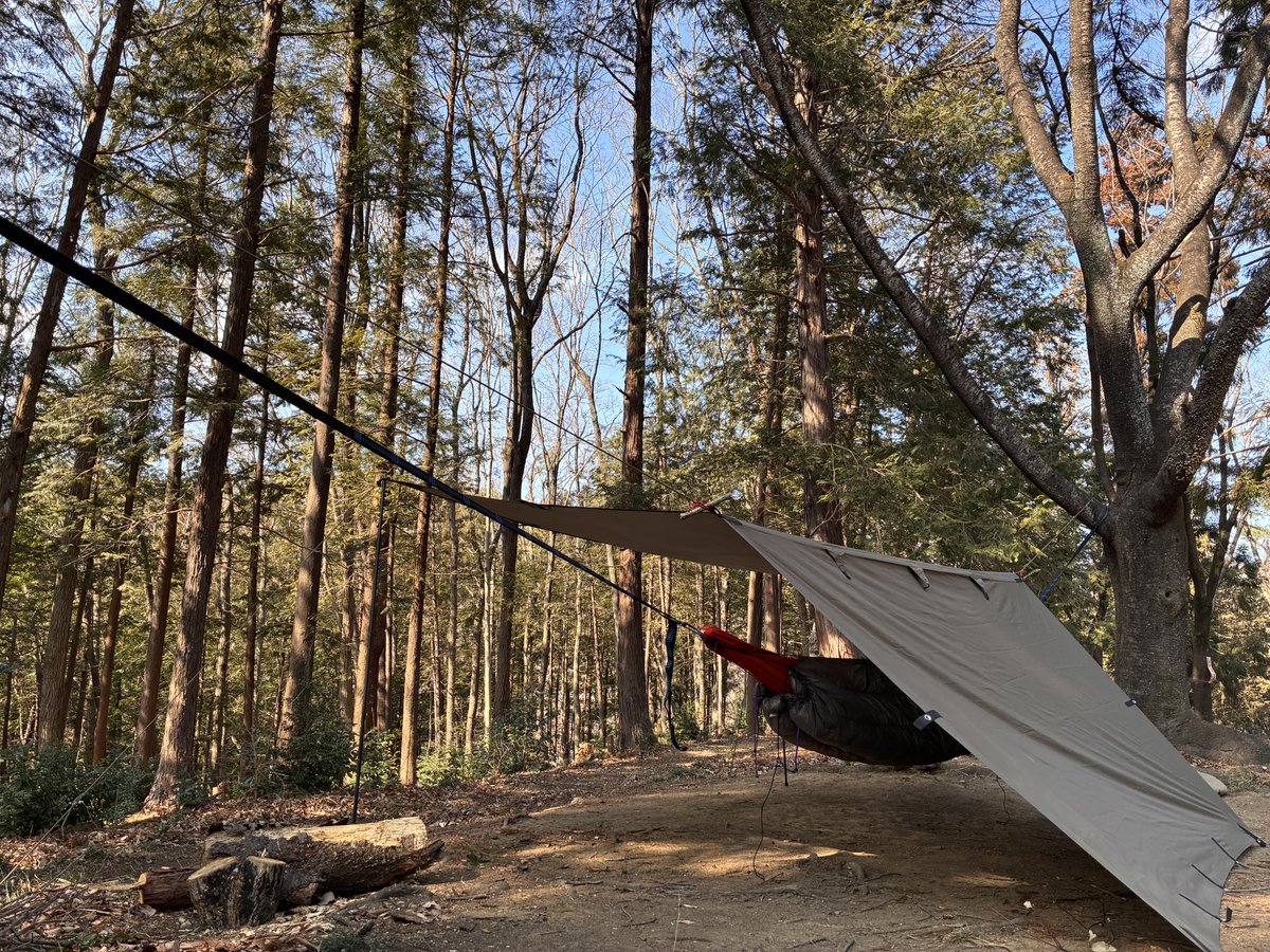 ハチワレキャンプ△ tweet media