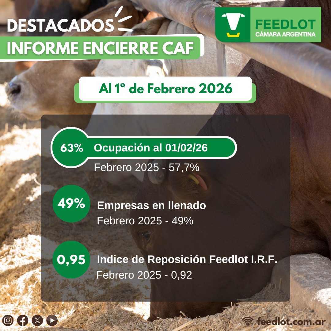 Feedlot Argentina tweet media