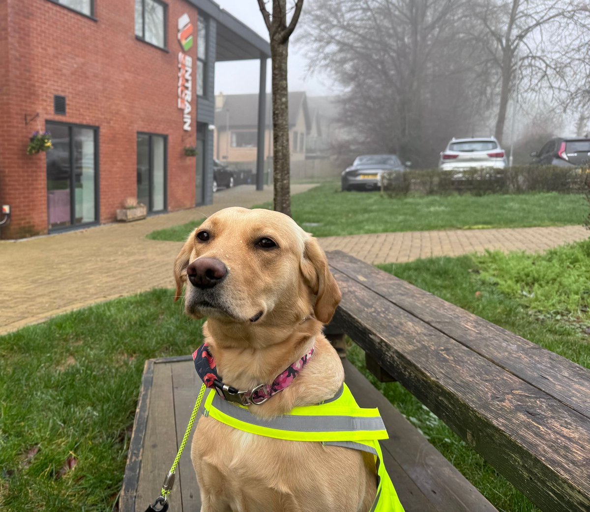 Entrain Space tweet media