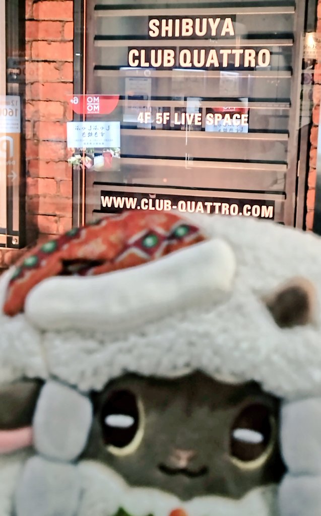 クワトロだよ、ウールー