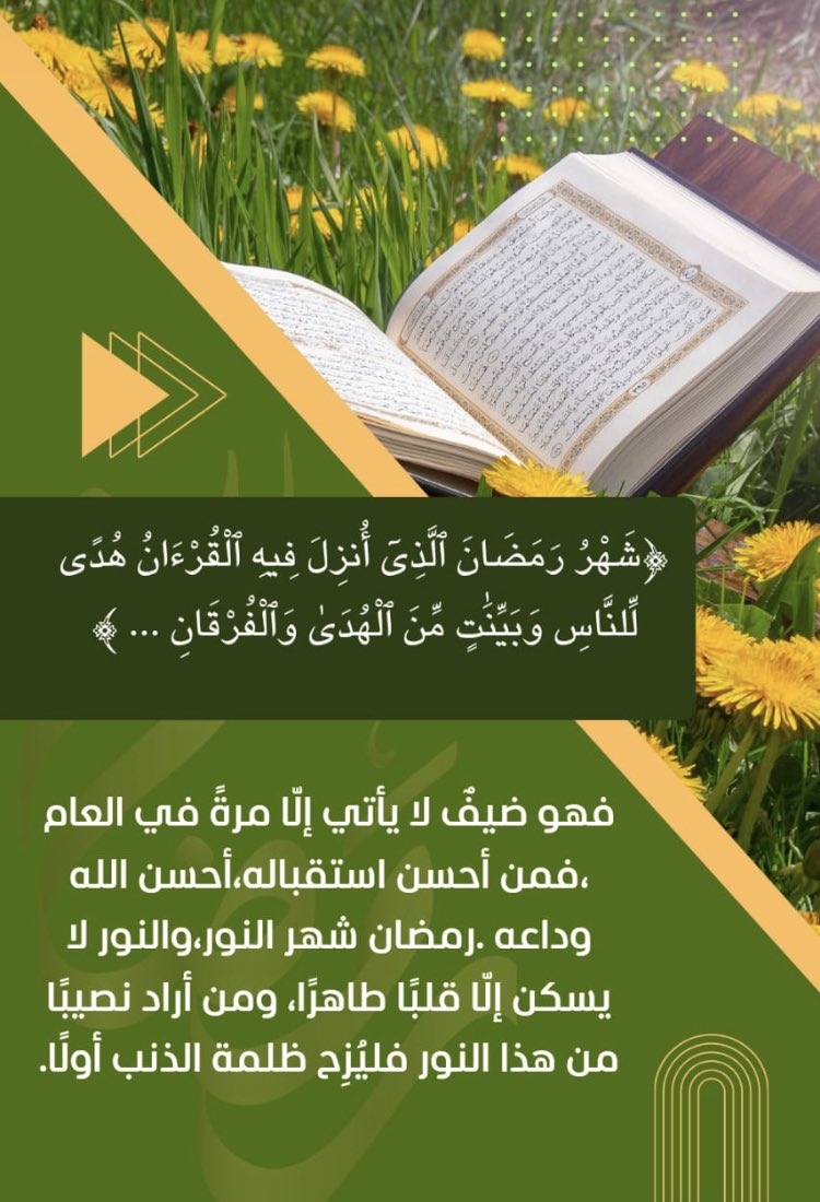 فاطمة باوزير (@tota_toma__) on Twitter photo 