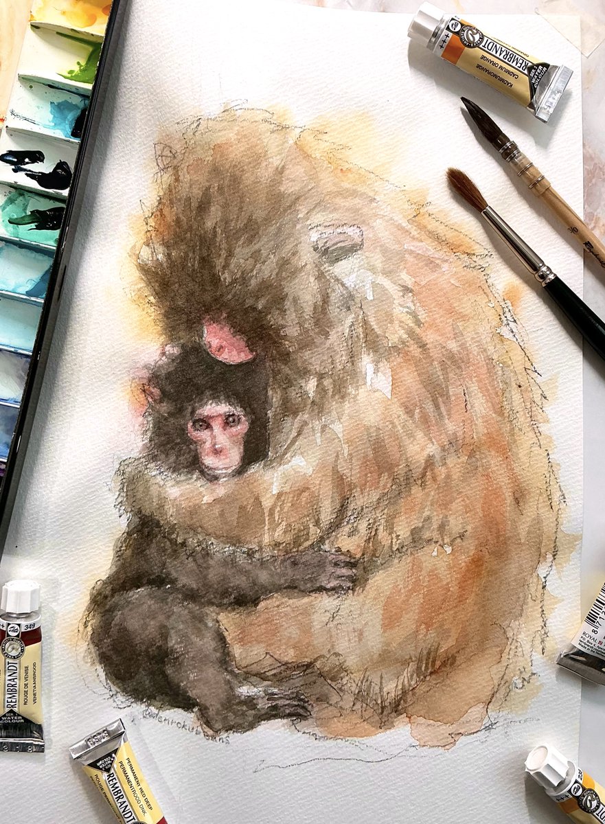 ギュッと優しく🫂💗

良かったねパンチくん🌈

#がんばれパンチ