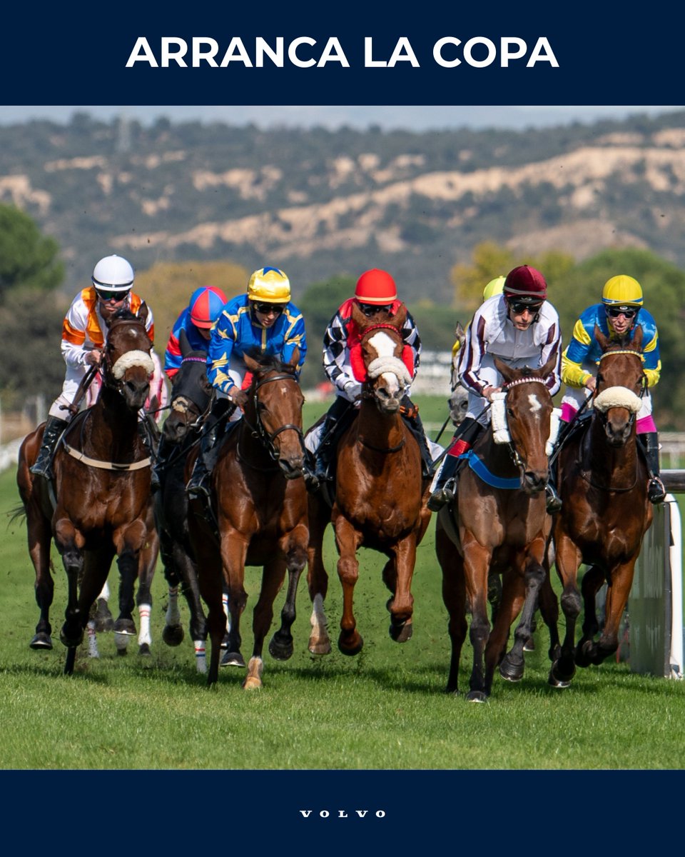 A.E.G.R.I. tweet media