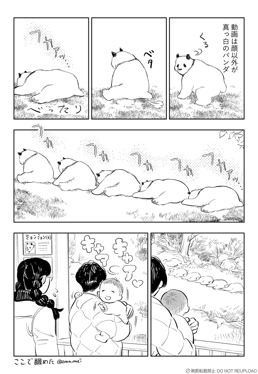 2024年2月2日に見た夢 #ここで醒めた 