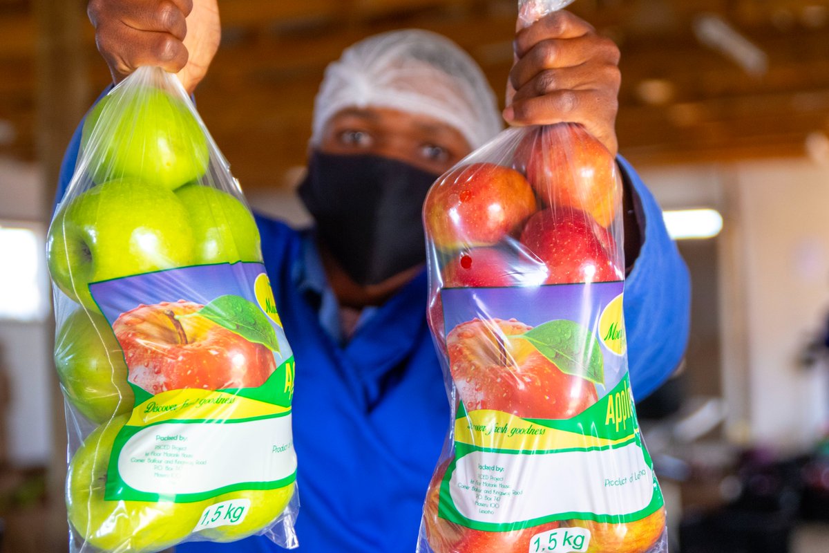 Lesotho.ls tweet media