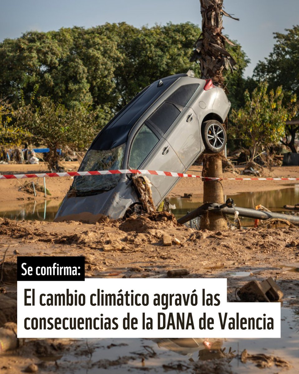 WWF España 🐼 tweet media