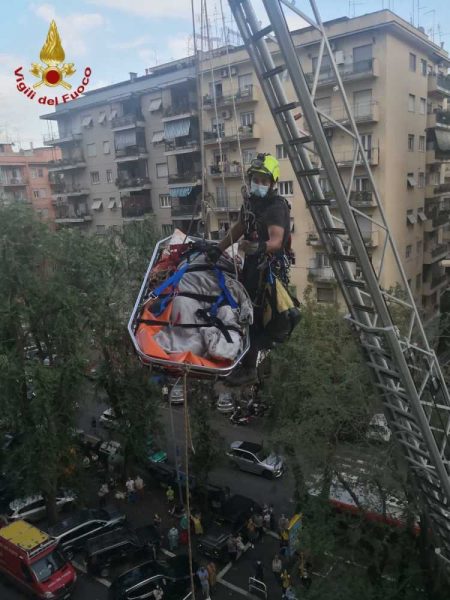 mobilitati i vigili del fuoco per il trasporto tramite gru del buitre allo stadio dopo 30 anni