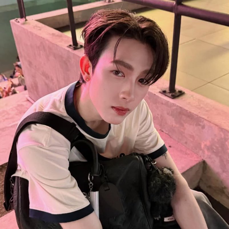 white cat                                       black cat