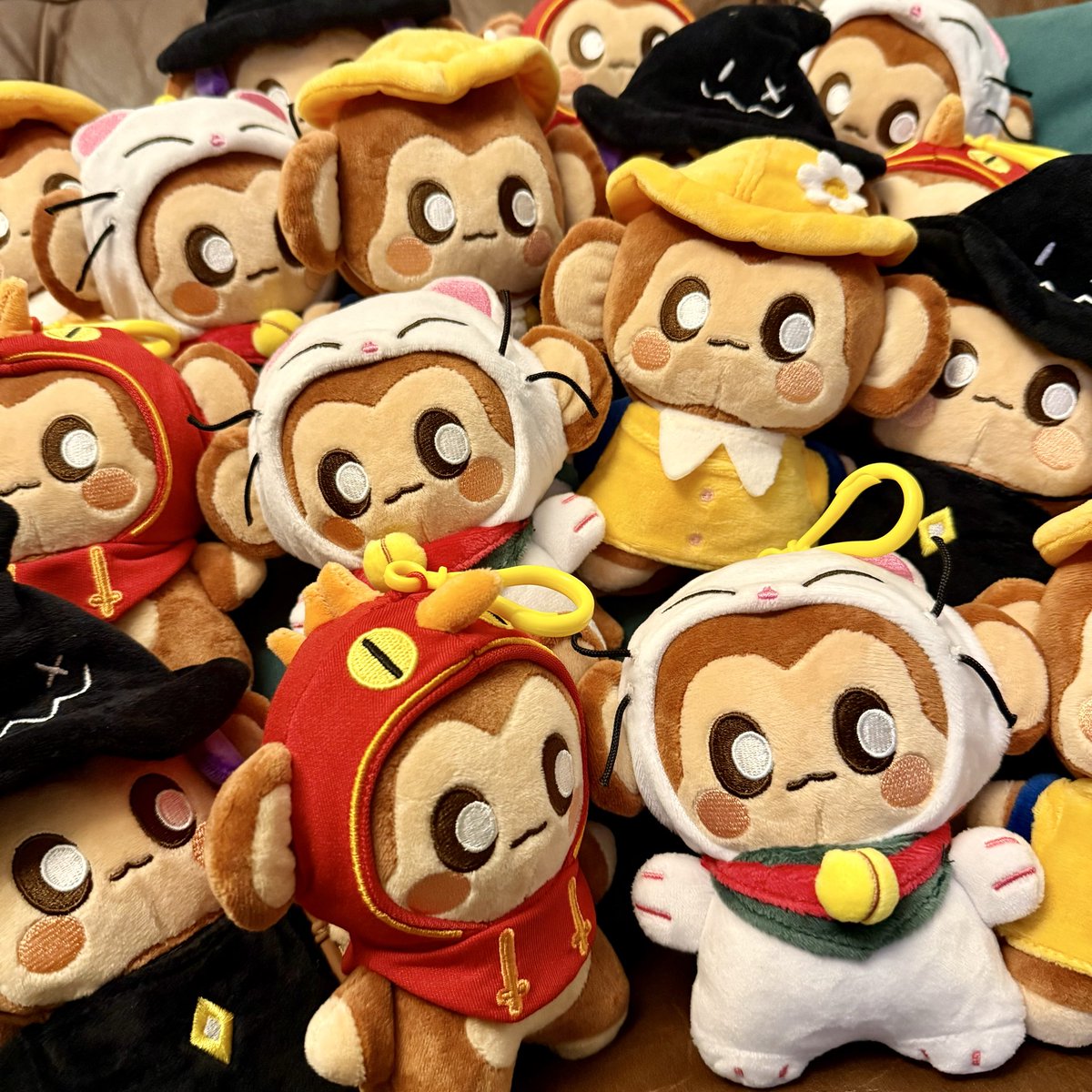 Q: “How many Chimpis can you fit in a Chimpi group photo?”

🤣🤣🤣