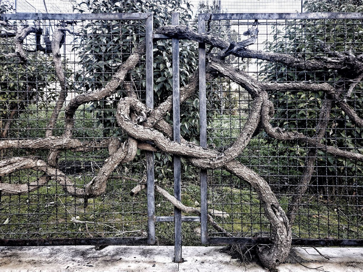 UNED Abierta tweet media