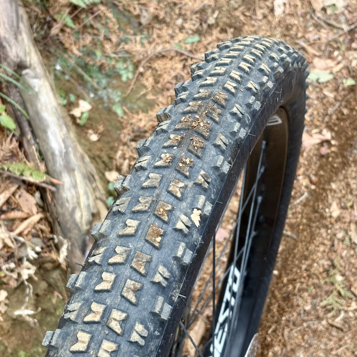 Me@ (みぃくる) (@Me_No3196) / Posts / X